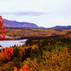 ross river